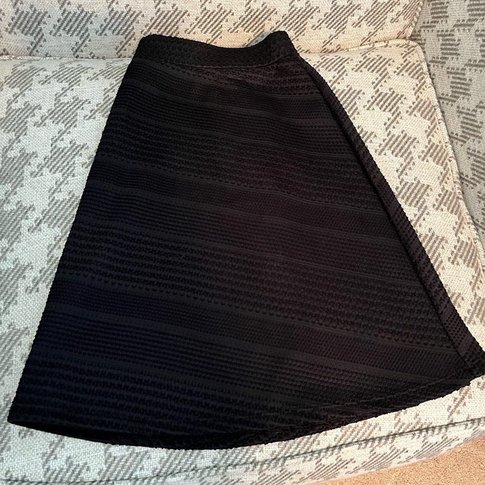 Black embroidered skater skirt